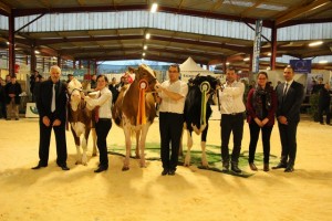 Le championnat Holstein, de gauche à droite : Br-Jenny de l'Aitre la mention, Isa Uno la réserve et Bm Idole la Championne