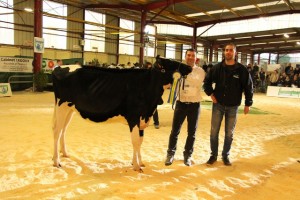 BM IDOLE, Championne Holstein noire, appartenant au Gaec des Bords de Moine