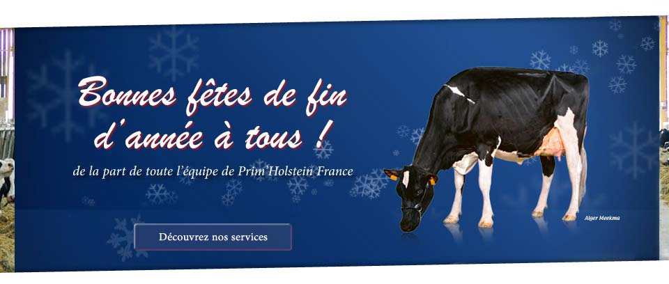 Découvrez les services de Prim'Holstein France