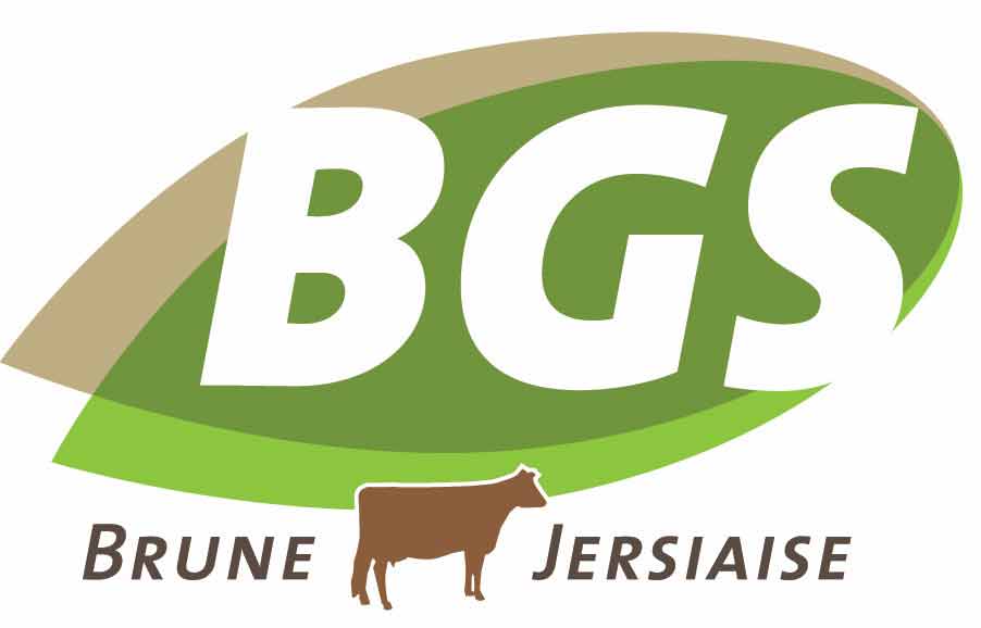 BGS Logo def