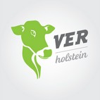 logo VERholstein
