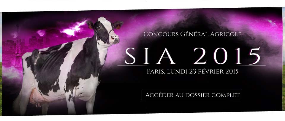 Le National Prim'Holstein de Fougeres 2014