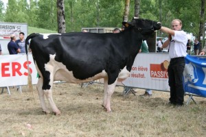 ERWANA, Championne Vache Tarie