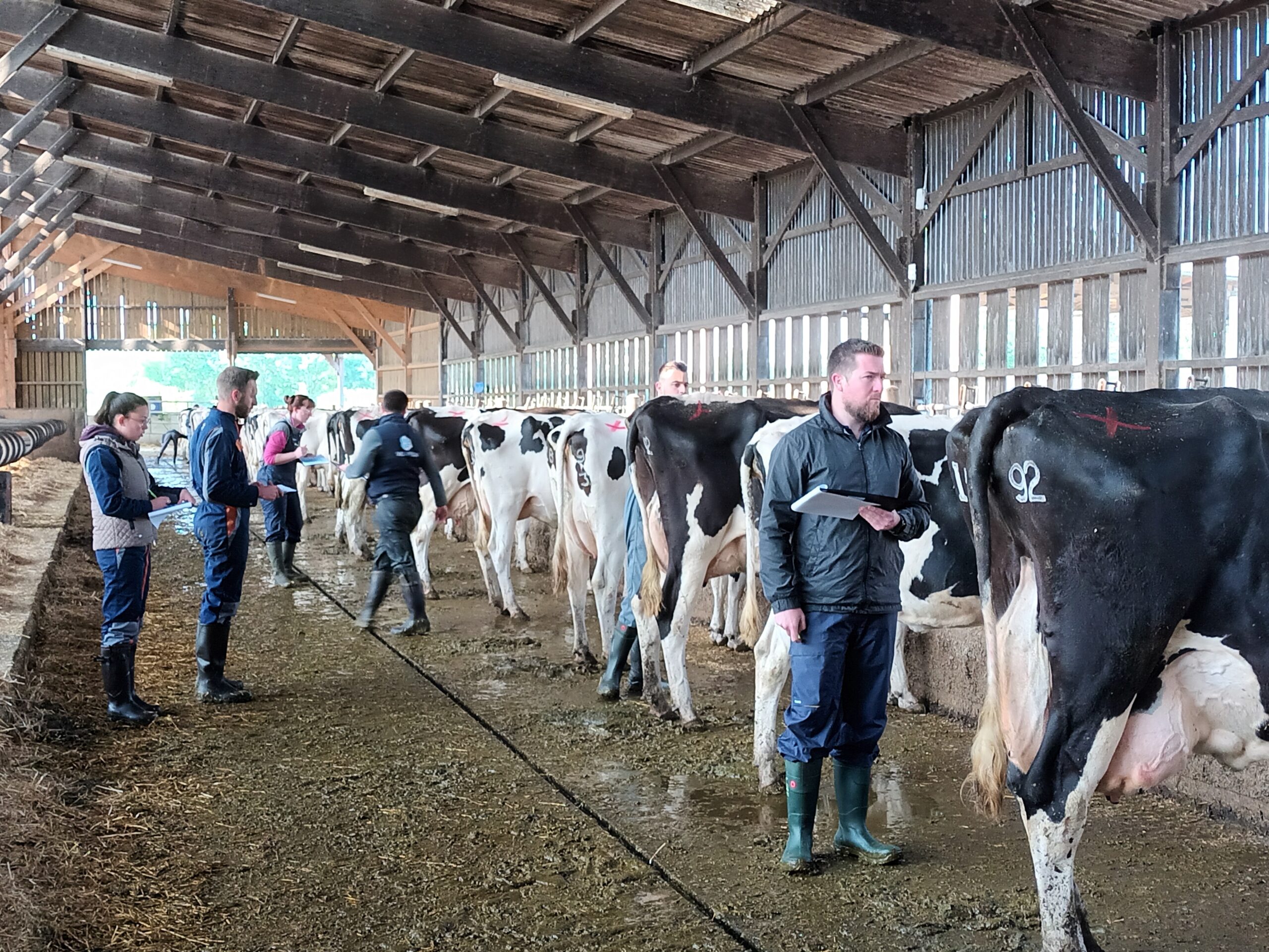 Agrément de pointage Prim’Holstein 2024