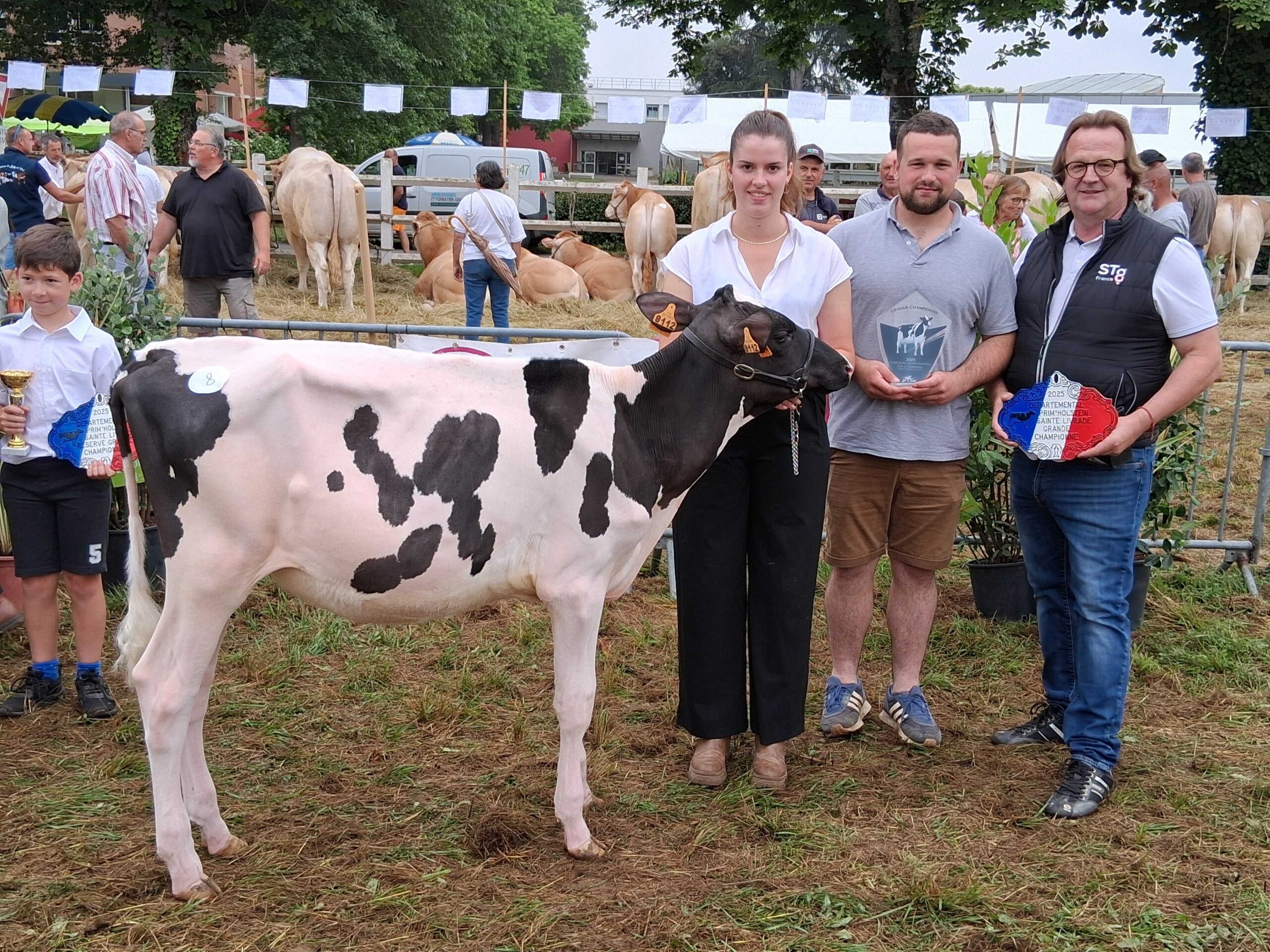 Grande Championne : O'Kelly Gm (Alongside X Crushabull) - Gaec Du Grand Mayne (24)