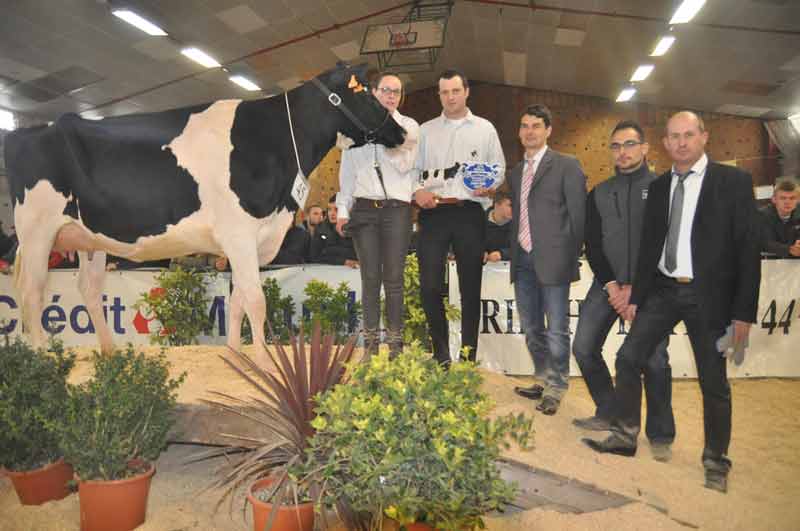 Championne Espoir, Javelle and cow (Gabino x Berryhill) au GAEC du Moulin and cow