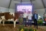 Palmarès du concours départemental 2025 de la Corrèze