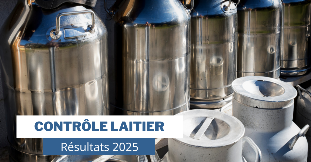 Résultats 2025 du Contrôle Laitier | Prim’Holstein France