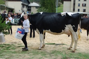 Meilleure Mamelle : Danse (Shottle X Drake) - Earl Les Hautes Prim’Holstein
