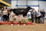 Palmarès du concours départemental 2025 du Calvados