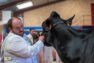 Guillaume Janniaux, administrateur PHF