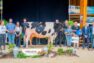 Palmarès du concours départemental 2025 des Côtes d’Armor