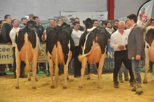 Prix d'élevage, GAEC Vray-Holstein