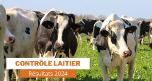 Résultats 2024 du Contrôle Laitier