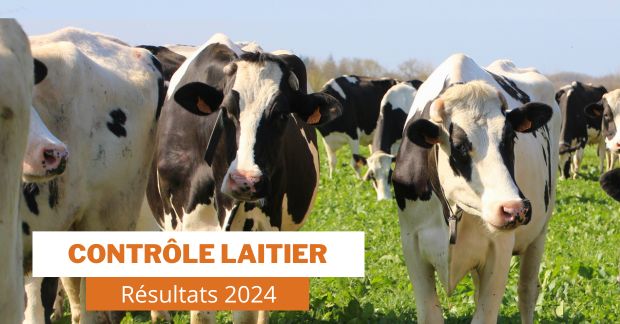 Résultats 2024 du Contrôle Laitier