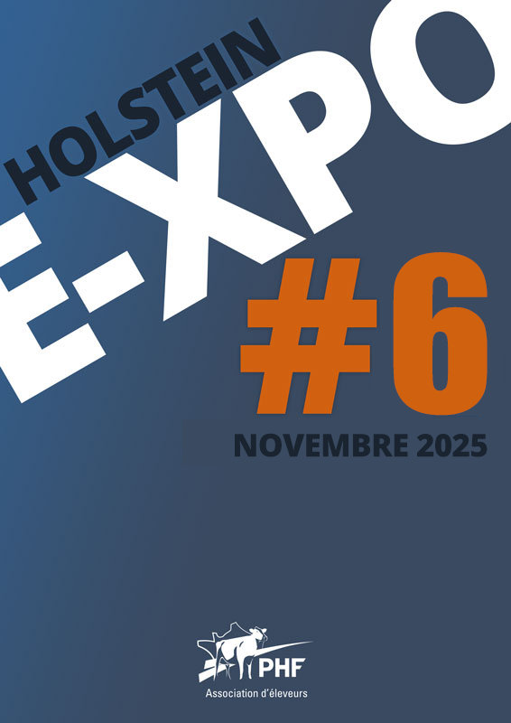 Holstein E-xpo #6