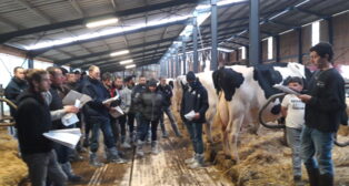 Compte-rendu de l’AG du syndicat Prim’Holstein de la Loire et visite du  Gaec Ferme Peillon