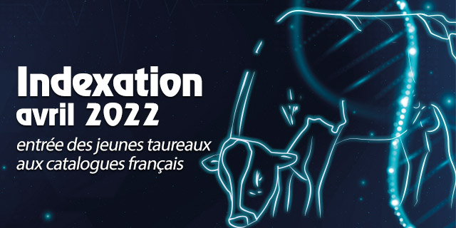 Indexation avril 2022: entrées des jeunes taureaux aux catalogues français