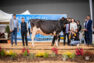 Palmarès du concours régional 2025 de Franche-Comté
