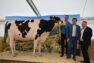 Palmarès du concours départemental 2025 du Cantal