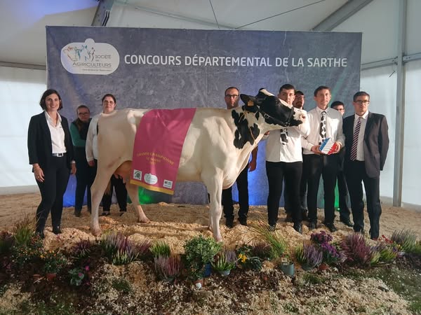 Grande Championne : Faye Fl Tonka (Pinot Red X Oasis P) - Co Propriété Gaec De Faye Gaec Des Lys
