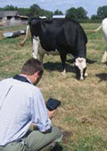 Concours Général Agricole 2012 Prim'Holstein France