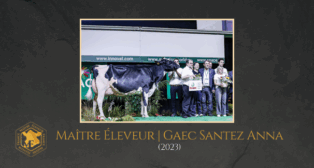 Maître Éleveur : découvrez le Gaec Santez Anna