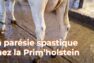 La parésie spastique chez la Prim’holstein