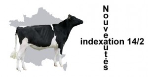 nouveautes-indexations-jeunes-trx-français-aout-2014
