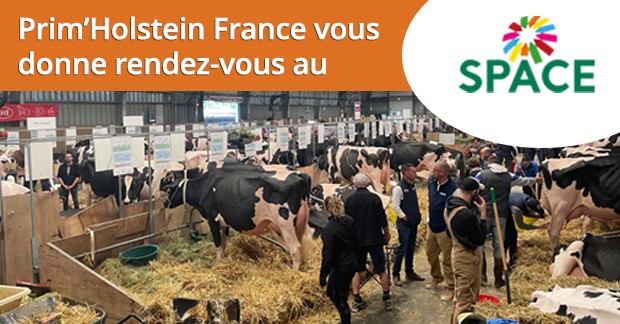 PHF au SPACE 2025 : retrouvons-nous à Rennes !