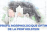 Le profil morphologique optimal en race Prim’holstein