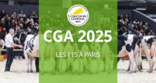 SIA 2025 : la liste des 115 vaches en concours