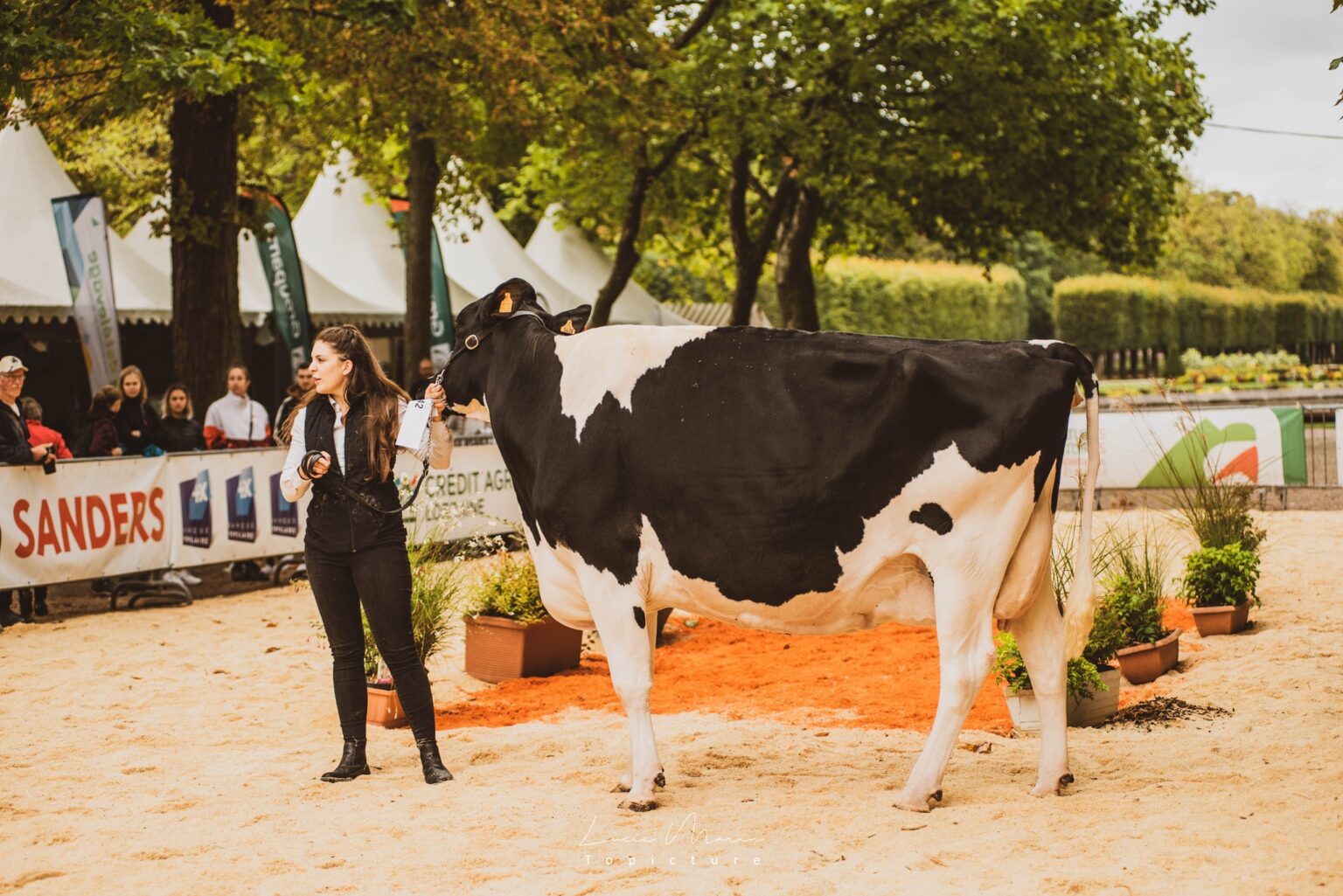 tarie | Prim’Holstein France