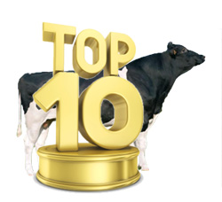top10-index.jpg