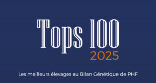 Palmarès des meilleurs élevages 2025
