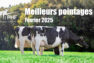 Les meilleurs pointages de Février 2025