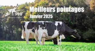 Les meilleurs pointages de Janvier 2025