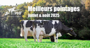 Les meilleurs pointages de Juillet et Août 2025