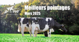 Les meilleurs pointages de Mars 2025