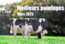 Les meilleurs pointages de Mars 2025