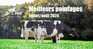 Les meilleurs pointages de juillet et août 2024