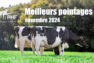 Les meilleurs pointages de Novembre 2024