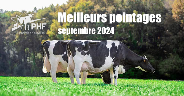 Les meilleurs pointages de Septembre 2024