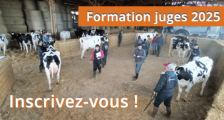 Prochaine formation juges en septembre 2025 en Dordogne